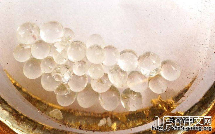 舍利子是什么 有什么用，舍利子是怎样形成的【图片】563 / 作者:伤我心太深 / 帖子ID:21551