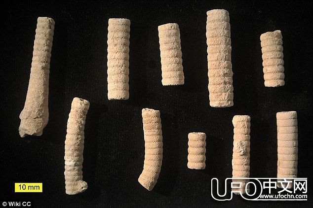 3亿年前的机械螺丝是外星人留下的证据吗？937 / 作者:伤我心太深 / 帖子ID:21563
