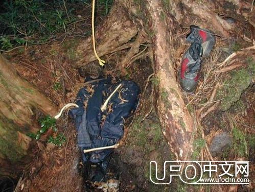 日本富士山的自杀森林，揭秘为什么选择在森林自杀310 / 作者:伤我心太深 / 帖子ID:21635