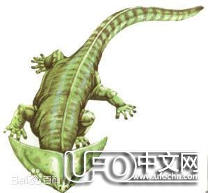 史前魔鬼蛙有多大?居然能生吞恐龙660 / 作者:伤我心太深 / 帖子ID:21686