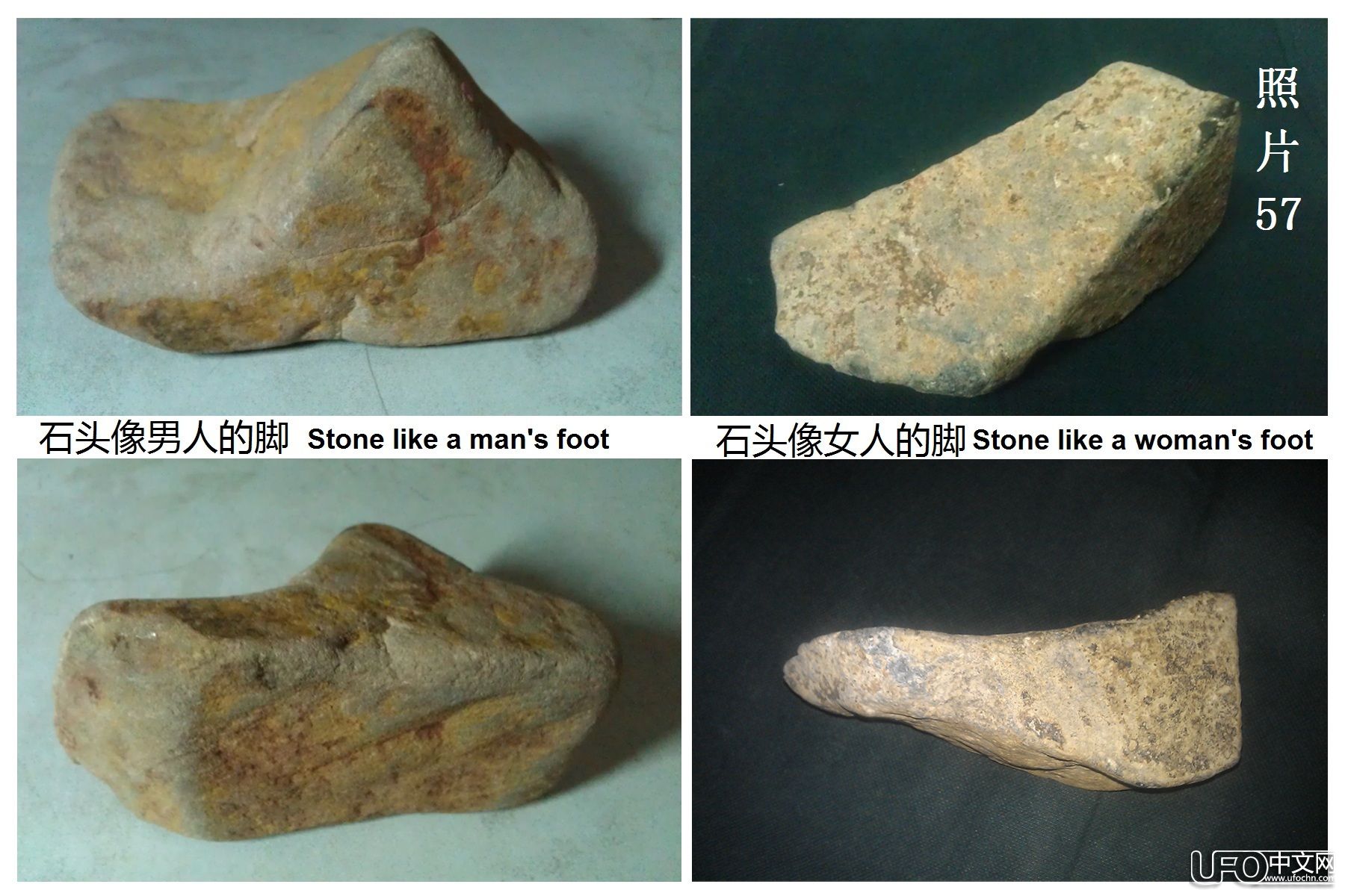 业余探索发现家华佳成解读[史前文明]399 / 作者:史前文明微雕石 / 帖子ID:19576