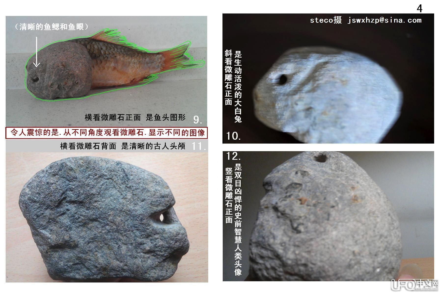 100万年以前的人类祖先头像被发现903 / 作者:steco / 帖子ID:21816