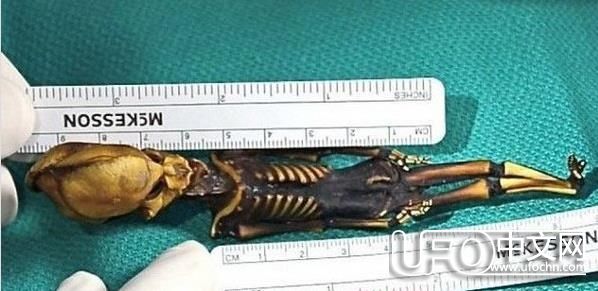 寻找外星人真相 智利沙漠发现15厘米外星人尸体？774 / 作者:伤我心太深 / 帖子ID:21916