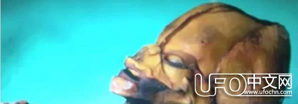 寻找外星人真相 智利沙漠发现15厘米外星人尸体？726 / 作者:伤我心太深 / 帖子ID:21916
