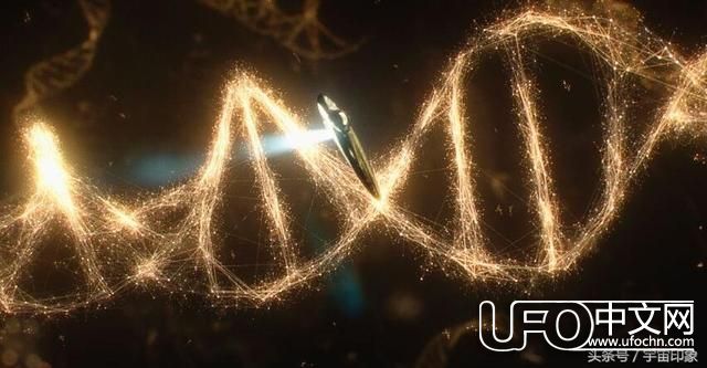 宇宙生命起源于陨石 至今陨石中还有原始碳基物种897 / 作者:伤我心太深 / 来源: 宇宙生命起源于陨石 至今陨石中还有原始碳基物种897 / 作者:伤我心太深 / 来源: