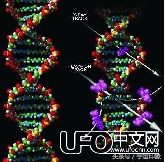 宇宙生命起源于陨石 至今陨石中还有原始碳基物种922 / 作者:伤我心太深 / 来源: 宇宙生命起源于陨石 至今陨石中还有原始碳基物种922 / 作者:伤我心太深 / 来源: