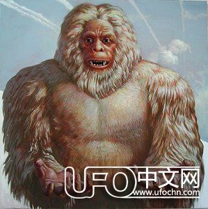 雪人存在的证据 科学家解释雪人是未进化的人类867 / 作者:伤我心太深 / 来源: