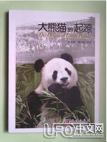 始熊猫 熊猫祖先的图片长什么样629 / 作者:伤我心太深 / 来源: