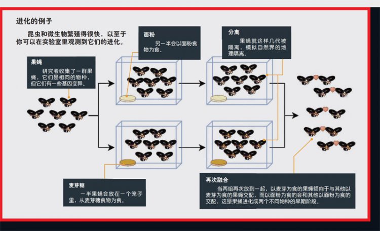 进化论被推翻 这七个错误的进化论观点104 / 作者:伤我心太深 / 帖子ID:22666