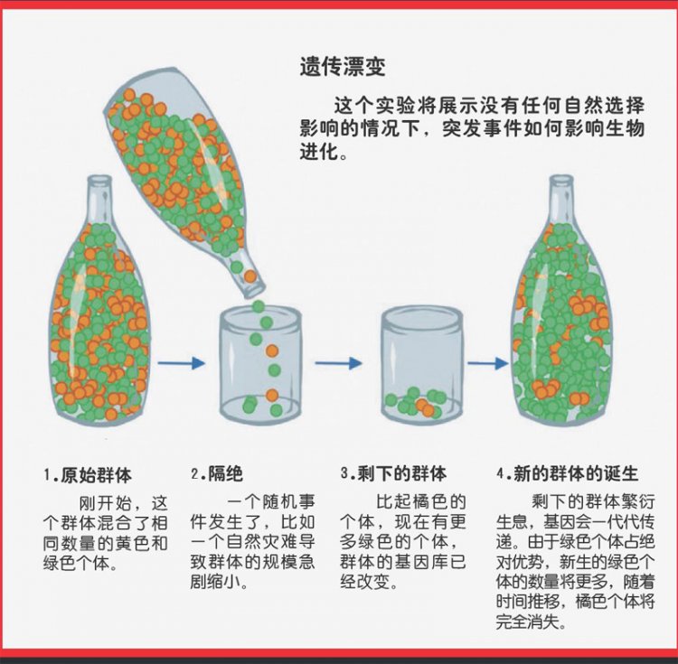 进化论被推翻 这七个错误的进化论观点794 / 作者:伤我心太深 / 帖子ID:22666