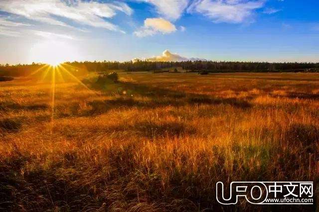 这次“UFO”真要来了！230 / 作者:○o涅槃旋舞o / 帖子ID:22793