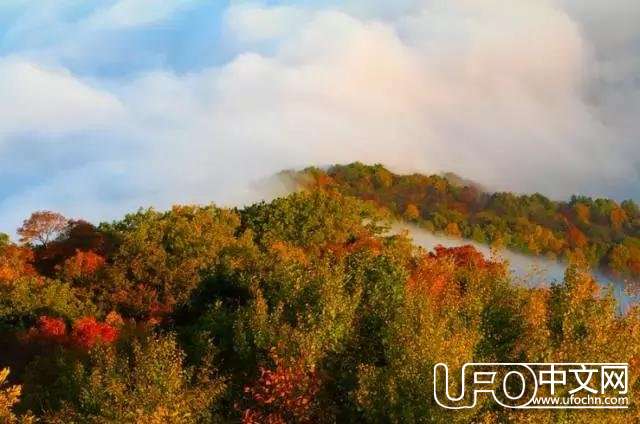 这次“UFO”真要来了！15 / 作者:○o涅槃旋舞o / 帖子ID:22793