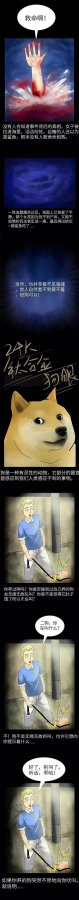恐怖灵异事件｜鬼魂977 / 作者:砂砂 / 帖子ID:22806