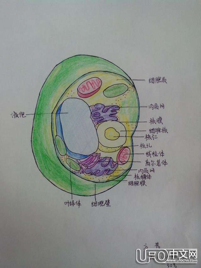 细胞中的宇宙661 / 作者:admin / 帖子ID:22838