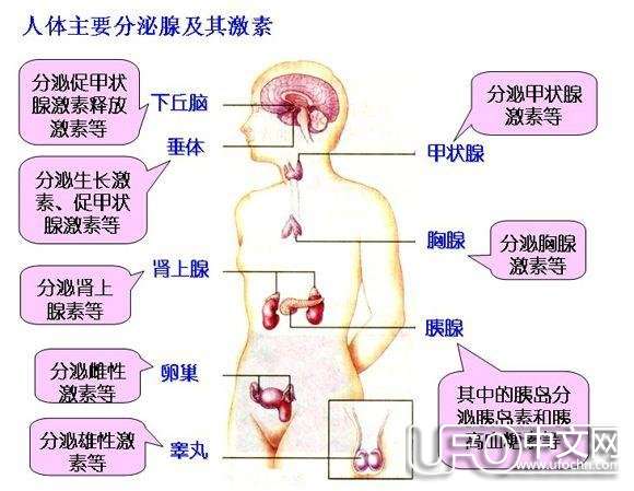 机器世界的文明648 / 作者:兔哥 / 帖子ID:22957