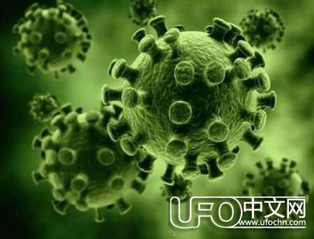 别瞎找了，我们苦寻的外星生物源头可能就在我们身边818 / 作者:○o涅槃旋舞o / 帖子ID:23072