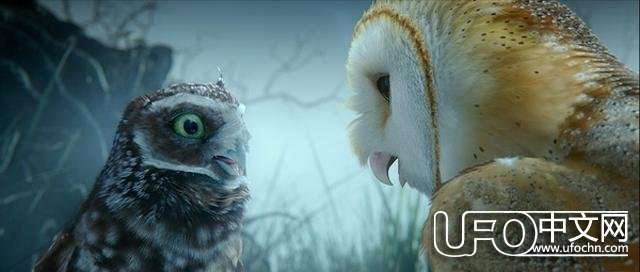 灵异故事：不怕猫头鹰叫，就怕猫头鹰笑！202 / 作者:泣天使 / 帖子ID:23144