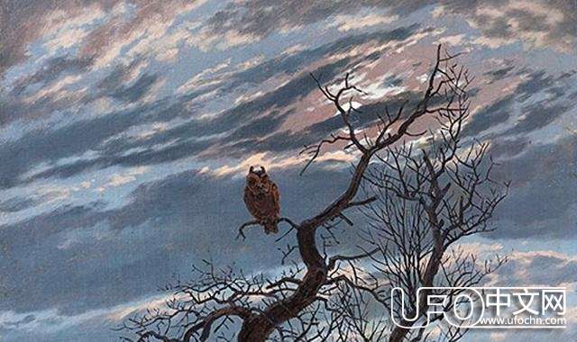 灵异故事：不怕猫头鹰叫，就怕猫头鹰笑！290 / 作者:泣天使 / 帖子ID:23144