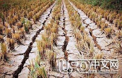 灵异故事：菜农救助夫妇，二十年后妇人前来报恩，竟已不是人！183 / 作者:513668881wjt / 帖子ID:23150