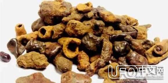 紫砂的成因与外星陨石有关吗？832 / 作者:思欣姐姐 / 帖子ID:23229