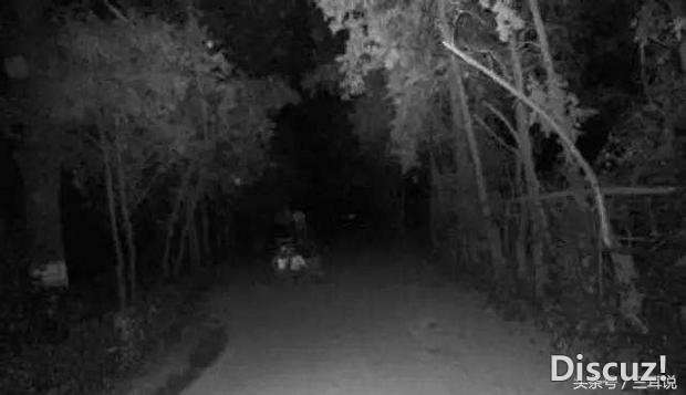 真实的灵异事件514 / 作者:admin / 帖子ID:23258