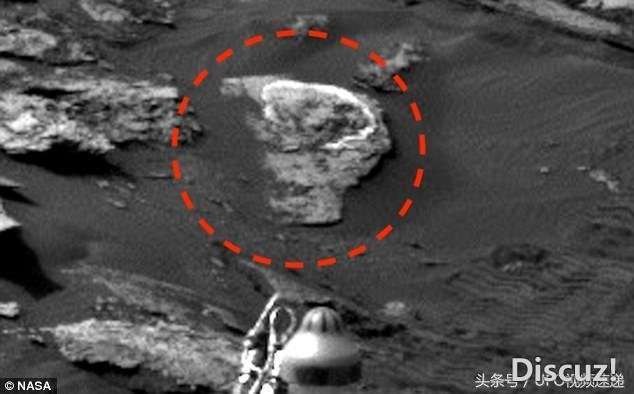 火星生命新证据？UFO猎人发现头骨，嘴巴牙齿清晰可见832 / 作者:泣天使 / 帖子ID:23264