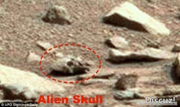 火星生命新证据？UFO猎人发现头骨，嘴巴牙齿清晰可见890 / 作者:泣天使 / 帖子ID:23264