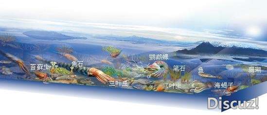 伽马射线暴的威力到底有多大，大部分外星生命已经死于其下989 / 作者:爱心怪我 / 帖子ID:23270