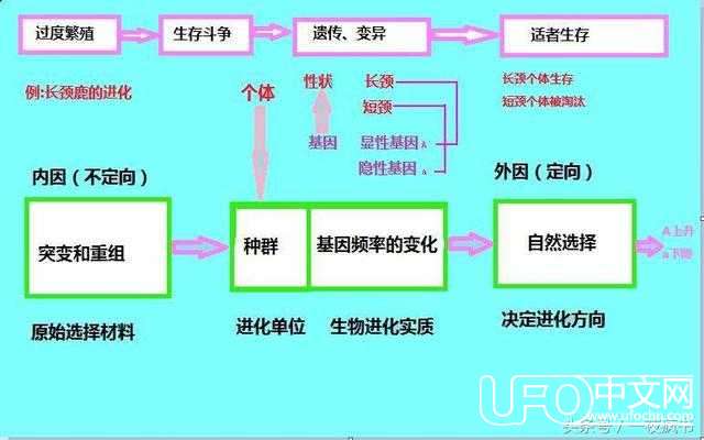 历史上的今天—达尔文进化论，进化论不是假说 教皇也承认进化论361 / 作者:兔哥 / 帖子ID:23323