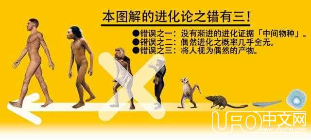 进化论的缺陷944 / 作者:513668881wjt / 帖子ID:23325