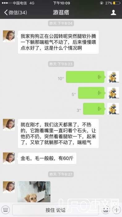 一只遇上灵异事件的金毛犬，有些不可思议16 / 作者:erhuoliangzi / 帖子ID:23345
