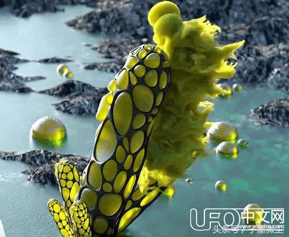 普通的浆果和水果变身成为外星世界，够惊艳！573 / 作者:砂砂 / 帖子ID:23357