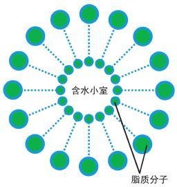 平行宇宙中的“9层宇宙”到底是什么？456 / 作者:伤风学长 / 帖子ID:23380
