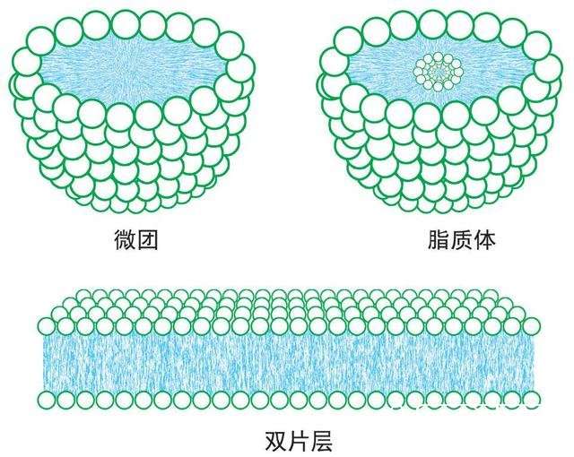 平行宇宙中的“9层宇宙”到底是什么？915 / 作者:伤风学长 / 帖子ID:23380