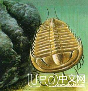 简单的解释一下平行宇宙究竟是什么！534 / 作者:Seven / 帖子ID:23503