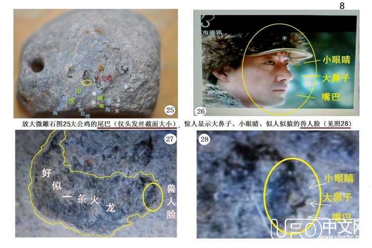 大揭秘：人类与猴子猩猩绝不是同一个祖宗864 / 作者:steco / 帖子ID:20461