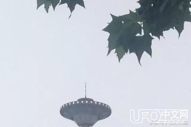 泌阳发现不明物体，貌似外星飞碟……719 / 作者:揭秘者 / 帖子ID:23678