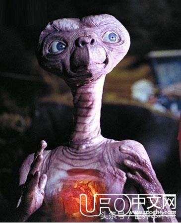 请不要叫他们外星人？703 / 作者:复古的仙人掌 / 帖子ID:23680