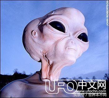 请不要叫他们外星人？100 / 作者:复古的仙人掌 / 帖子ID:23680