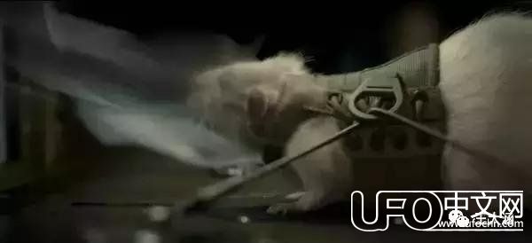 关于《异星觉醒》比R级镜头更吓人的是这些细思恐极的细节？962 / 作者:知世 / 帖子ID:23779