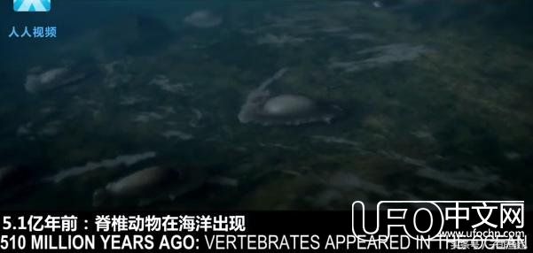 几张图带你领略宇宙与地球的始末，超震撼！498 / 作者:月月 / 帖子ID:23965