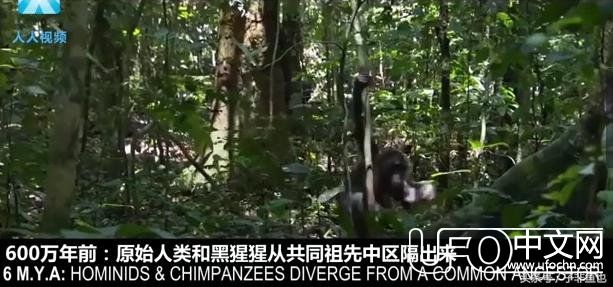 几张图带你领略宇宙与地球的始末，超震撼！355 / 作者:月月 / 帖子ID:23965