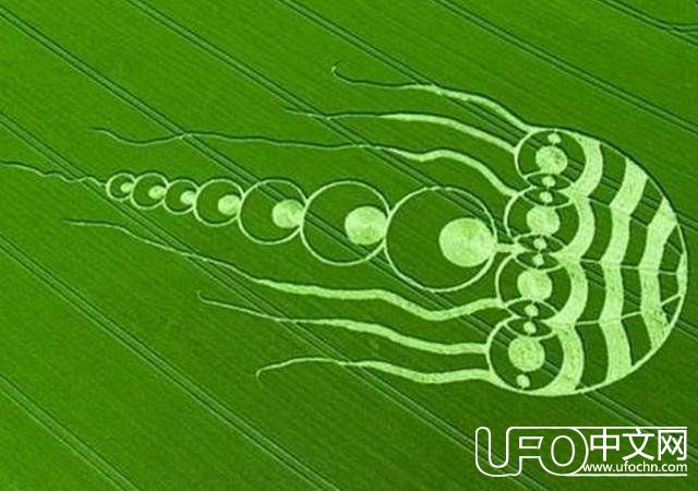 麦田怪圈竟是外星人留给人类的神秘礼物 破译内容前所未见652 / 作者:erhuoliangzi / 帖子ID:23981