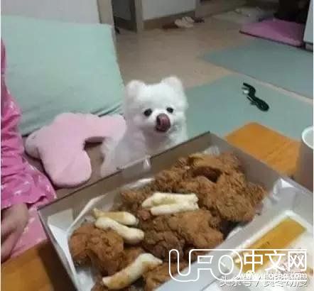 吃货界的十二大未解之谜369 / 作者:念小秋 / 帖子ID:23986