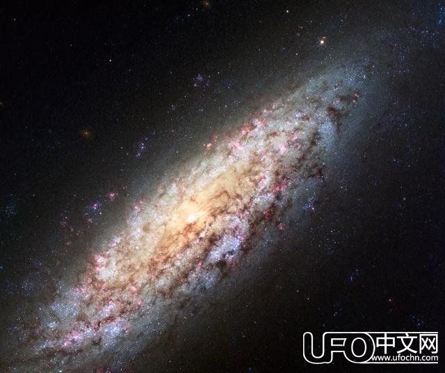 宇宙边缘一个最黑暗孤独的地方962 / 作者:月月 / 帖子ID:23993
