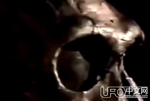 如果外星人比人类早进化100万年，地球或早已被光顾402 / 作者:erhuoliangzi / 帖子ID:24020