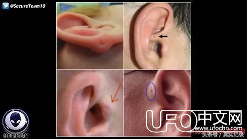 UFO占据加拿大天空 政府已无法掩盖真相747 / 作者:漫随 / 帖子ID:24032