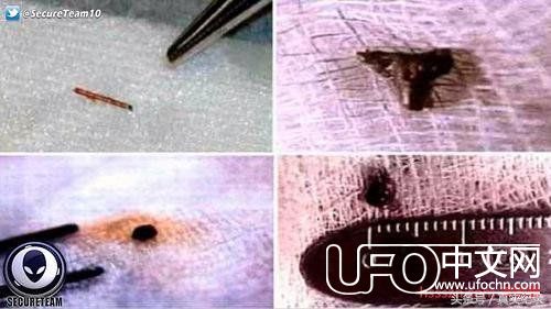 UFO占据加拿大天空 政府已无法掩盖真相457 / 作者:漫随 / 帖子ID:24032