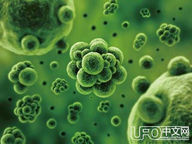 俄国家航天局最新研究发现，外太空生物可能已经光临地球了800 / 作者:admin / 帖子ID:24054