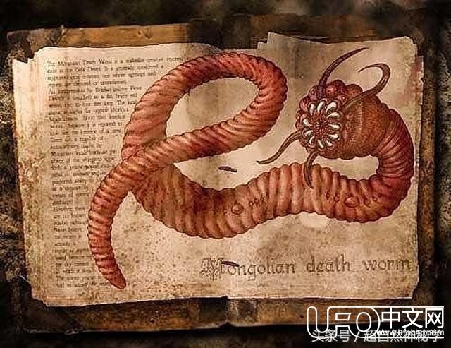 盘点网络上流传的7个神秘生物347 / 作者:伤风学长 / 帖子ID:24082